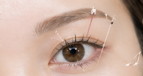 黄金比で設計された美しい眉